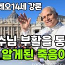 대림2주일,죽음이 두려우신가요, 예수님 부활이 주는 해답은? 2025년 12월 10일(수) 일반알현, 성 베드로 광장﻿ 이미지