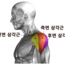 근모닝PT 이미지