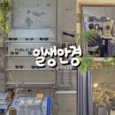 일생안경 | 성수 안경점 일생안경 로우로우 후기