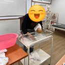 #천안베스트간호학원 # 천안베스트간호학원부설요양보호사교육원