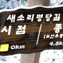 효원초등학교 네이버블로그