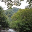 휴양림 통나무집 네이버블로그