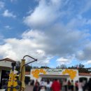 에코i숲어린이집 | 에코랜드 테마파크 후기 I 제주 가족여행 걷기 부담 없는 기차 코스 (시니어 할인, 가을 겨울 코스 팁)