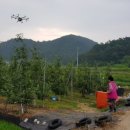 태송농장 이미지