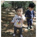 청사초롱 유아숲체험원 이미지