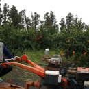 노을마당 이미지