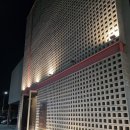 노부스테라 이미지