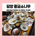차차차 | 찐으로 추천하는 담양 맛집, 부모님 모시고 가기 좋은 황금소나무 한정식 후기!