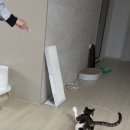 파리바게뜨 문예의전당점 이미지