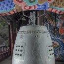 보물이네 이미지