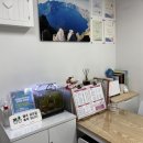 신흥글로벌토탈샵 | 신흥역피부관리 성남피부샵 더샵피부앤왁싱 통증 없는 왁싱 솔직 후기!