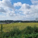 인광2리마을회관 이미지