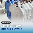 투이지플러스