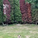 천북빌리지풀빌라 이미지