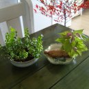 소록소록 이미지