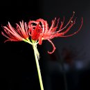 관음사 입구 Daum카페