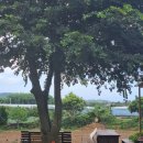 삼달신풍로 이미지