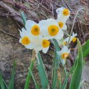 문턱바구 이미지