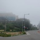 동호활어 이미지