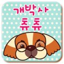 츄츄애견 이미지