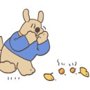 뗌리 이미지