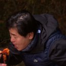 셰프의 백년손님 이미지