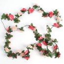 마리모리 이미지