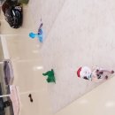 마이펫 강아지유치원 이미지