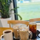 엔오엔팜 | 군산 엔오엔팜 시골 카페 꽃밭과 논뷰