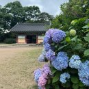 오종수 | 경주 기림사 I 비오는 날 여름 정원이 아름다웠던