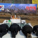 용준농장 Daum카페