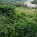 합성동102 이미지