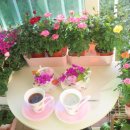 장미찻집 이미지