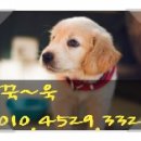 온누리재건축공인중개사사무소 이미지