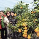 도덕농장 이미지