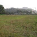 아이엠독 이미지