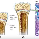 Team Zerobase 이미지