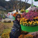 청양 칠갑산오토캠핑장 이미지