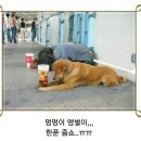 지기