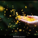 왕남초등학교 이미지