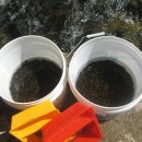 하천2리 경로당 이미지