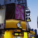 벌집 노래연습장 이미지