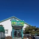 안계미나리농장 이미지