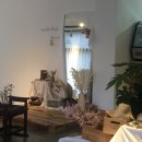 데일리레코드(daily record) 이미지