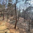 팔공산원효구도의길 | 천년의 시간을 품은 길, 팔공산 원효 구도의 길을 따라 하늘정원까지