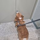 와바사상점 | 부산 사상 다트 술집, 맛집 국산, 세계 맥주 전문점 (오비어 하우스)