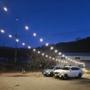 동화나라 애견 | 의정부 양주 대형카페 아이들이 좋아할 투하츠베이커리 애견동반가능 내돈내산