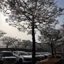 의류마트 | [비발디파크] 비발디파크 셔틀, 의류, 장비 대여(비발디파크 내부) , 굿앤굿스 마트까지 완벽한 후기 공유