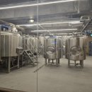 4681 | 남춘천역 근처 가볼만한 곳 수제맥주 맛집 감자아일랜드 후기