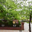 하단동186 이미지